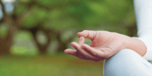 Yoga Lawn
